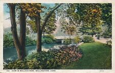 View in Wallace Park at Wallingford, CT Connecticut-antique unposted postcard picture