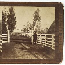 Shrewsbury New Jersey Farm Stereoview c1880 Monmouth County Northern Shore A2573 picture