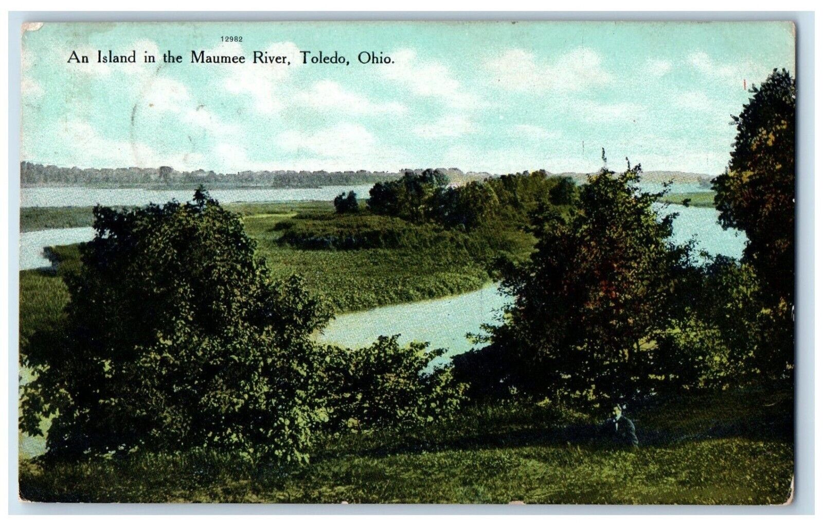 c1910 Nature Scene, An Island In The Maumee River, Toledo OH Swanton OH Postcard