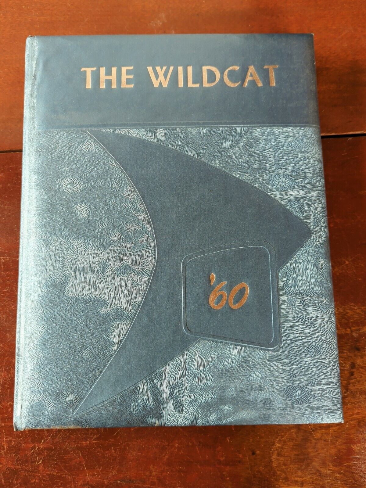 Vintage 1960 The Wildcat Schodack Central School Castleton NY Yearbook