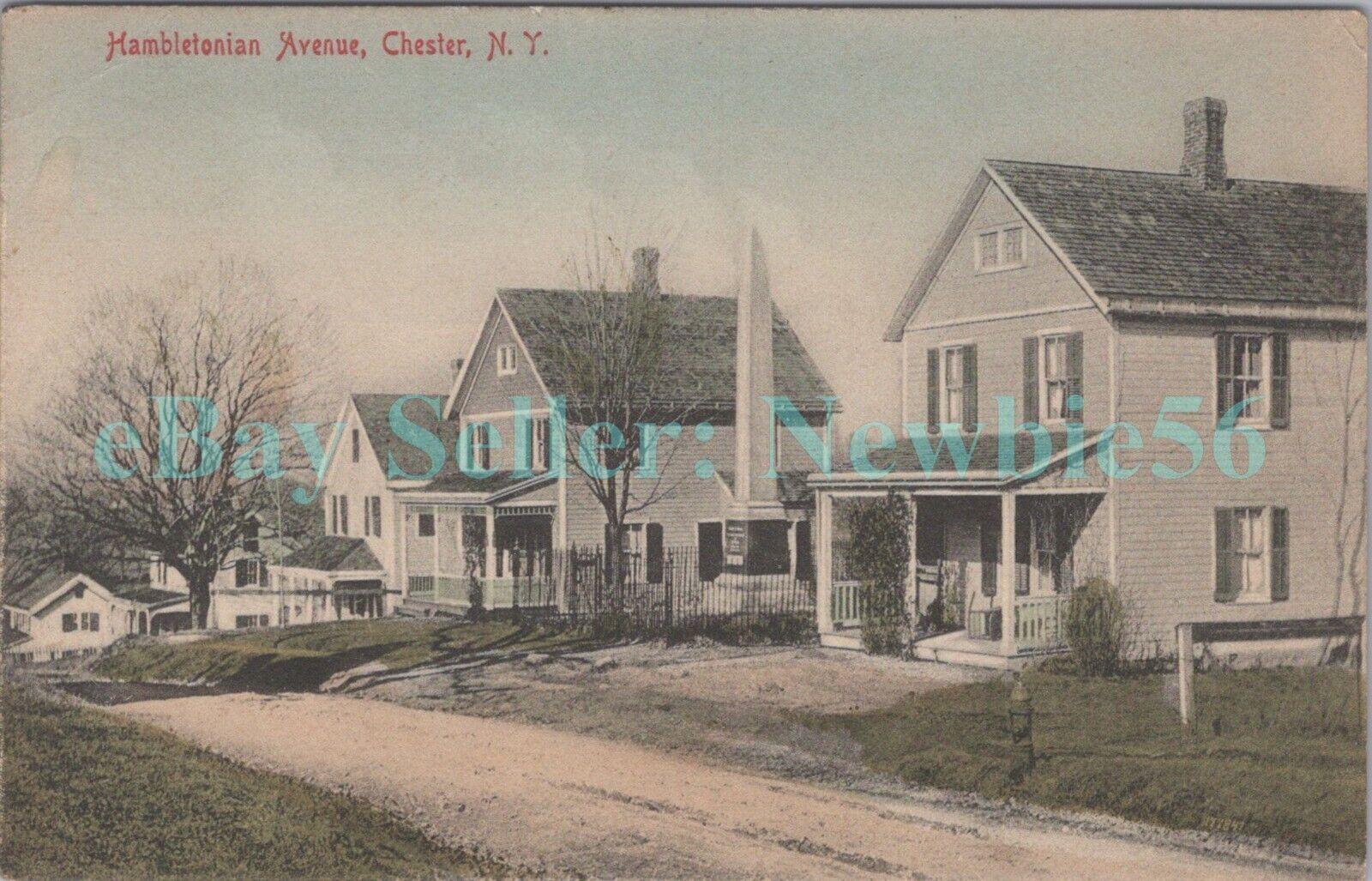 Chester NY - HOUSES ON HAMBLETONIAN AVENUE - Postcard Orange County
