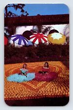 Postcard Texas Lower Rio Grande Valley TX Southern Belle Citrus Fiesta 1960s picture