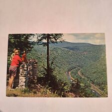 Postcard Braley Wales Lookout Wellsboro Pennsylvania View Card Chrome Unposted picture