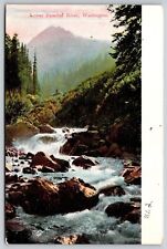 Lower Paradise River Washington Postcard picture