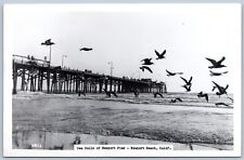 Postcard RPPC CA Newport Beach California Seagulls Of Newport Pier R51 picture