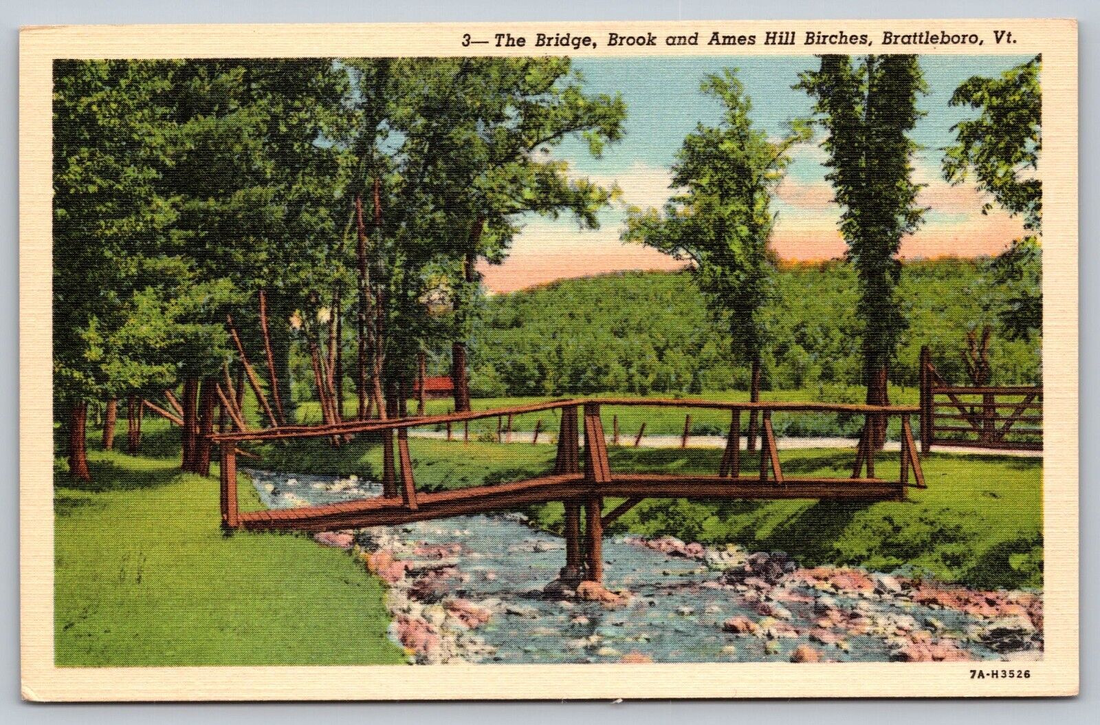 Brattleboro VT Vermont The Bridge, Brook and Ames Hill Birches Vintage Postcard