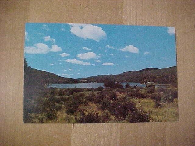 Vintage 1960s post card. Bonnie oaks inn. Fairlee Vermont. unused. unstamped.