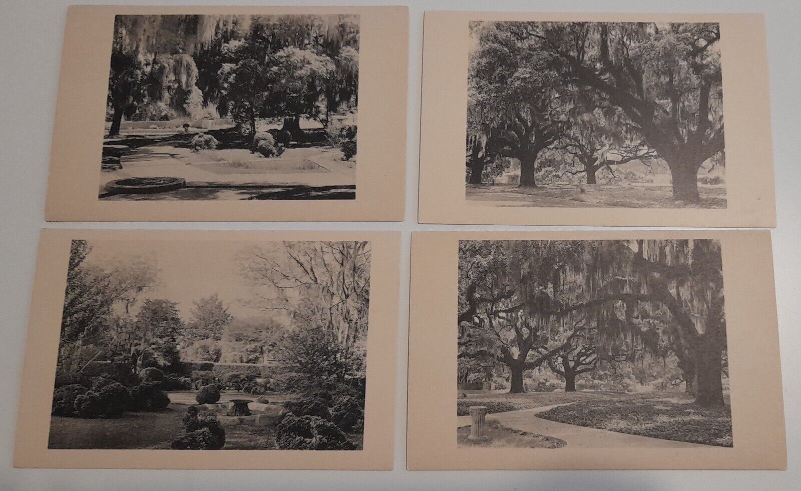 Lot of 4 vintage Brookgreen Gardens South Carolina SC Postcards