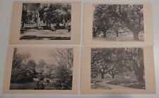Lot of 4 vintage Brookgreen Gardens South Carolina SC Postcards picture