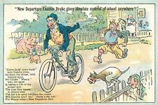 Postcard Connecticut Bristol C-1910 Bicycle Cycling Advertising dog CT24-2995 picture