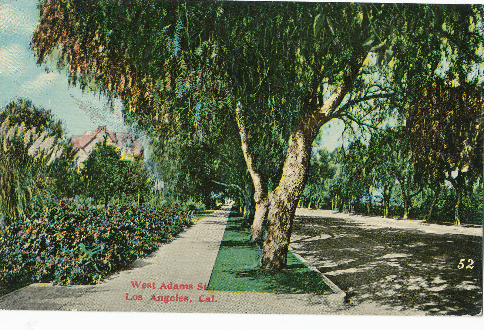CA, LOS ANGELES - WEST ADAMS ST VIEW - 1912 postcard