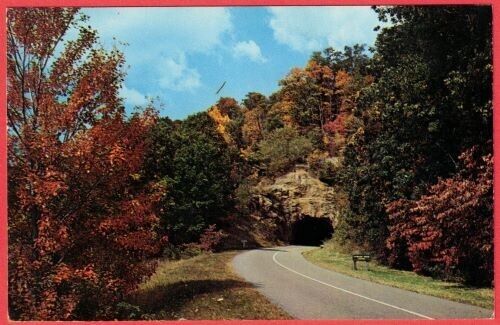 North Carolina Tanbark Tunnel Blue Ridge Parkway Autumn Leaves Postcard