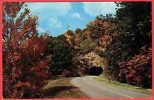 North Carolina Tanbark Tunnel Blue Ridge Parkway Autumn Leaves Postcard picture
