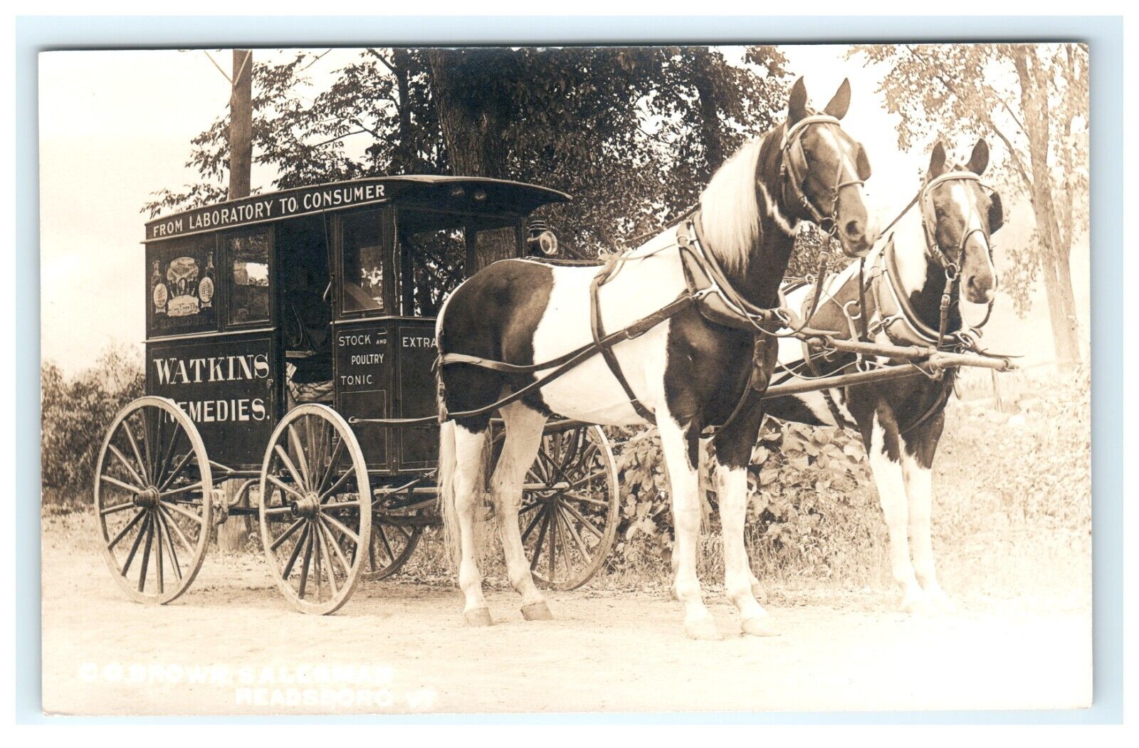 G.C Brown Salesmen Watkins Remedies Horse Wagon Readsboro VT Vermont RPPC