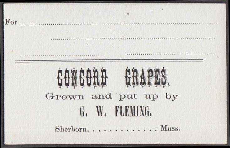 FIVE cards: Concord Grapes Grown & Put Up by G W Fleming Sherborn MA ca 1910