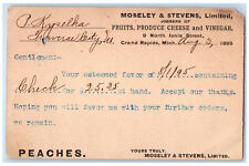 1895 Moseley & Stevens Limited Grand Rapids Michigan MI Posted Postal Card picture