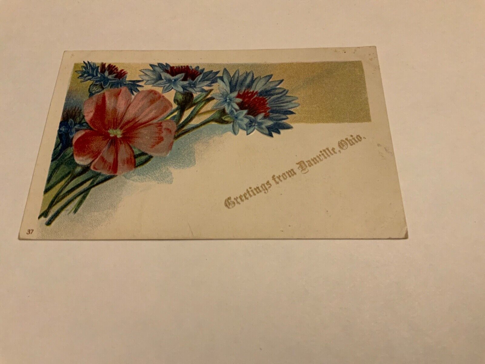 DANVILLE, OHIO ~ Knox County - Embossed Floral Greetings - 1908 Antique Postcard