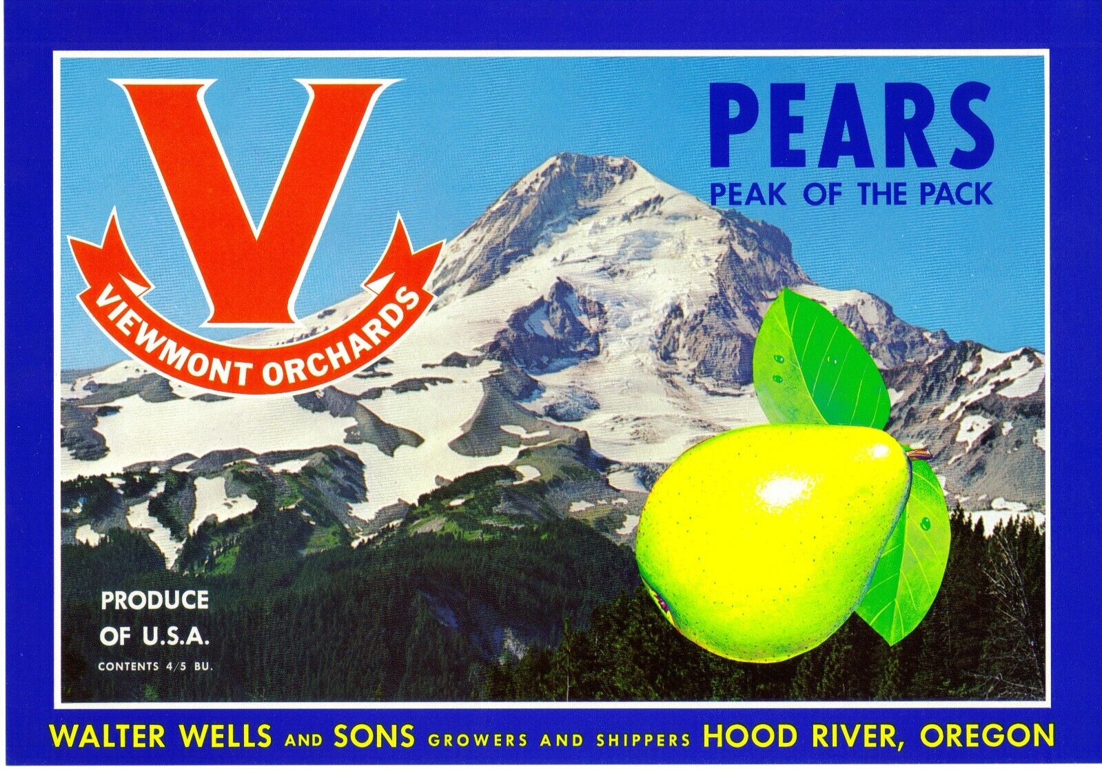 Original V pear crate label Hood River Oregon Walter Wells Viewmont Orch Mt Hood
