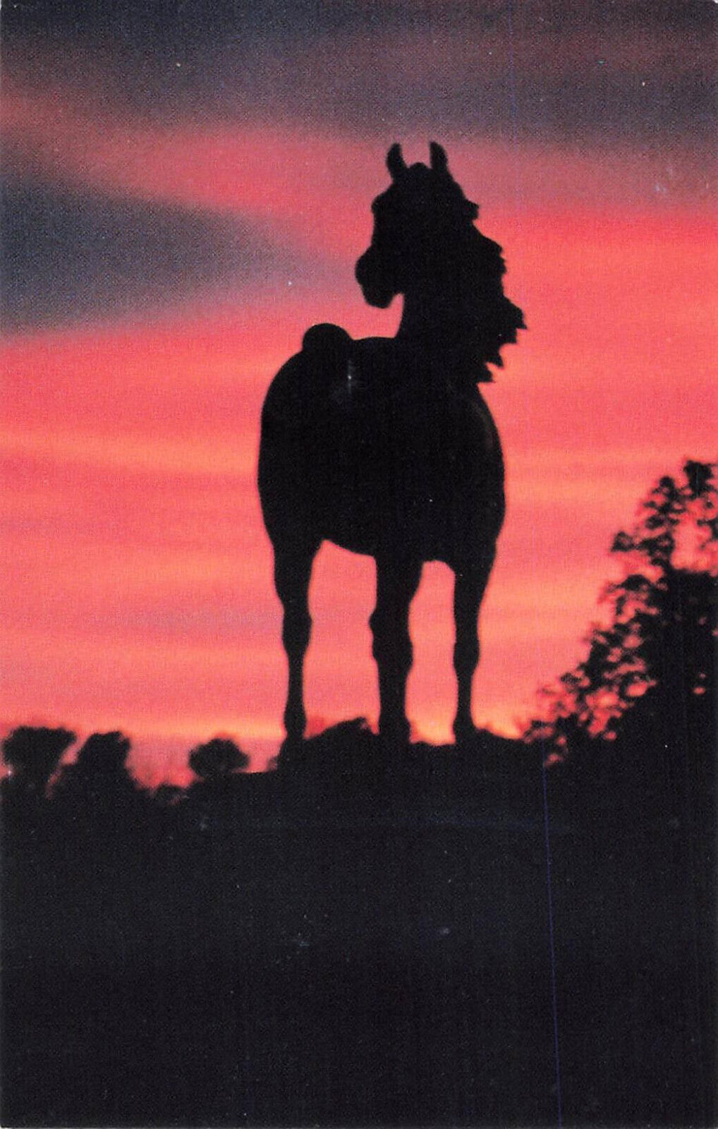 Statue of Justin Morgan Debra K James Horse Farm Weybridge Vermont  Postcard