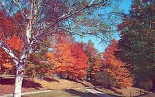 Tinmouth Vermont Fall Setting on Route 140 Rutland County Postcard picture