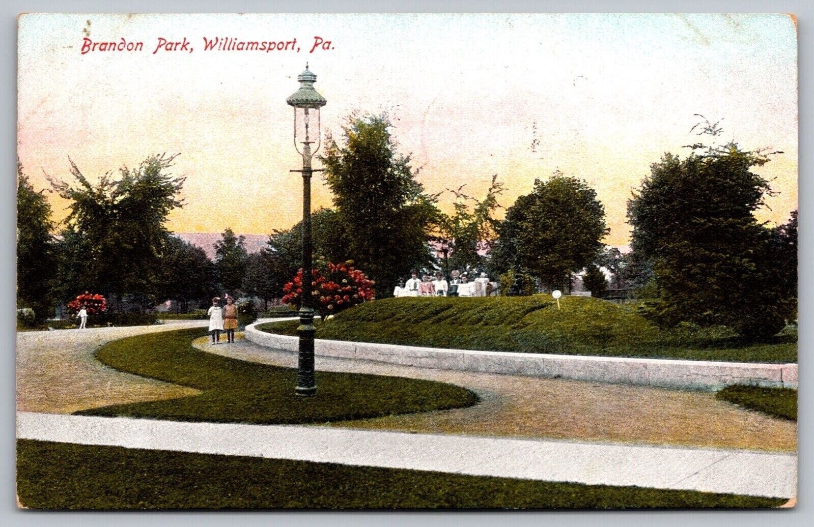 Brandon Park Williamsport Pa Pennsylvania Postcard