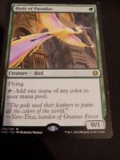 Birds Of Paradise MTG picture