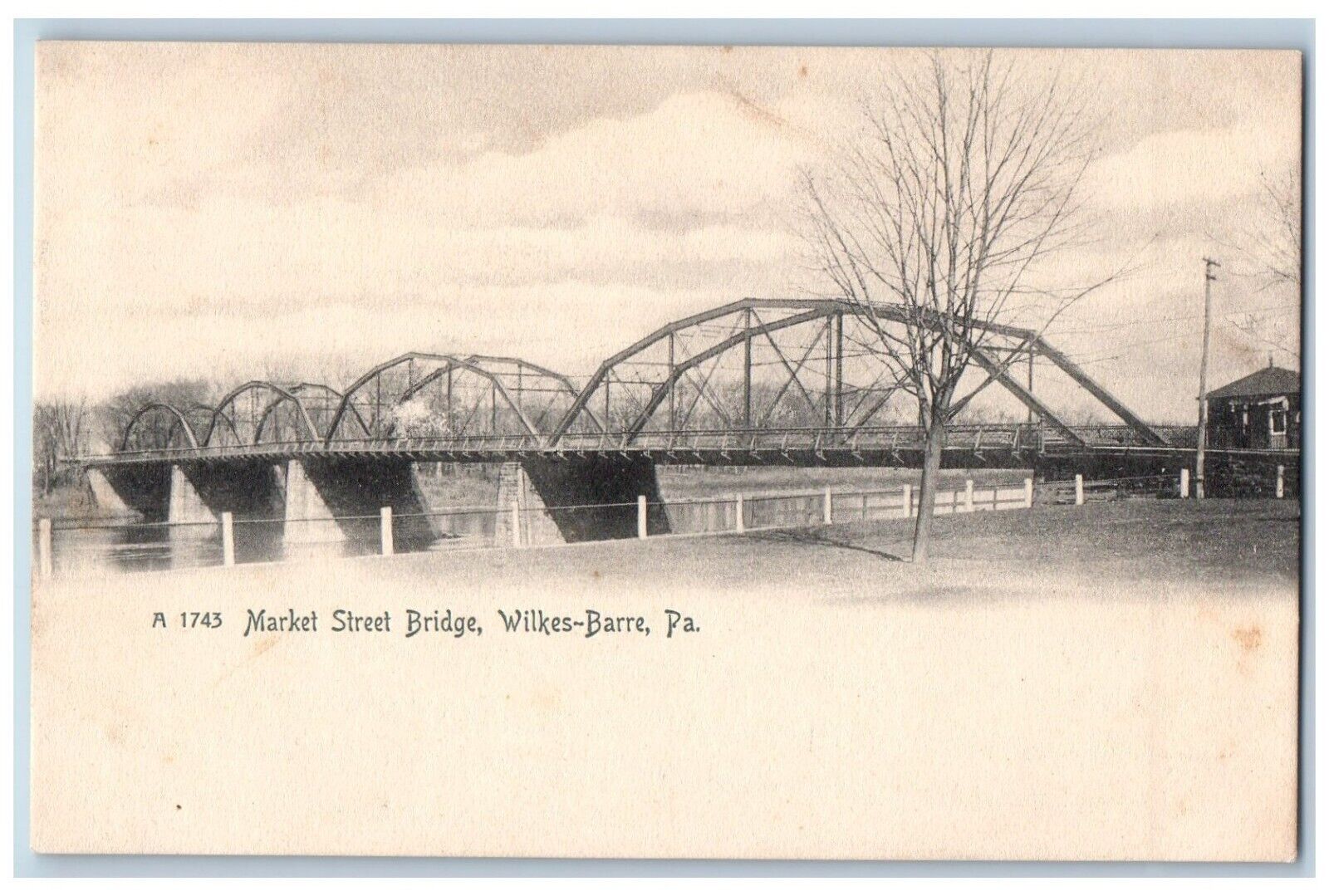 Wilkes Barre Pennsylvania PA Postcard Market Street Bridge Lake River Trees 1905