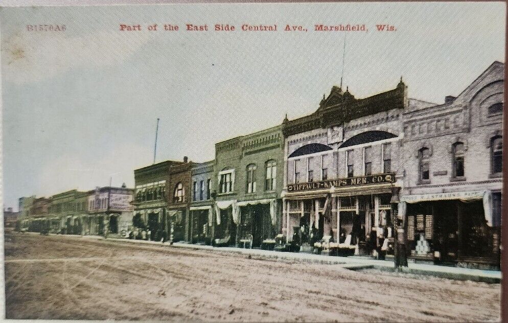 Part Of East Side Central Ave Marshfield, Wisconsin Early 1900s Street Scene