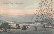 WHITINGHAM VILLAGE AND SADAWGA LAKE JACKSONVILLE VERMONT DOANE CAN POSTCARD 1906 picture