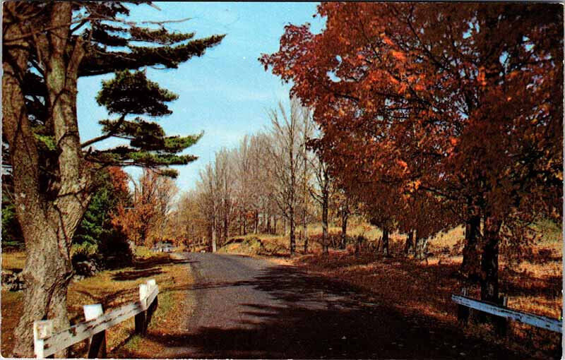 Postcard HIGHWAY SCENE Swanton Vermont VT AN7479