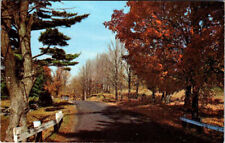 Postcard HIGHWAY SCENE Swanton Vermont VT AN7479 picture
